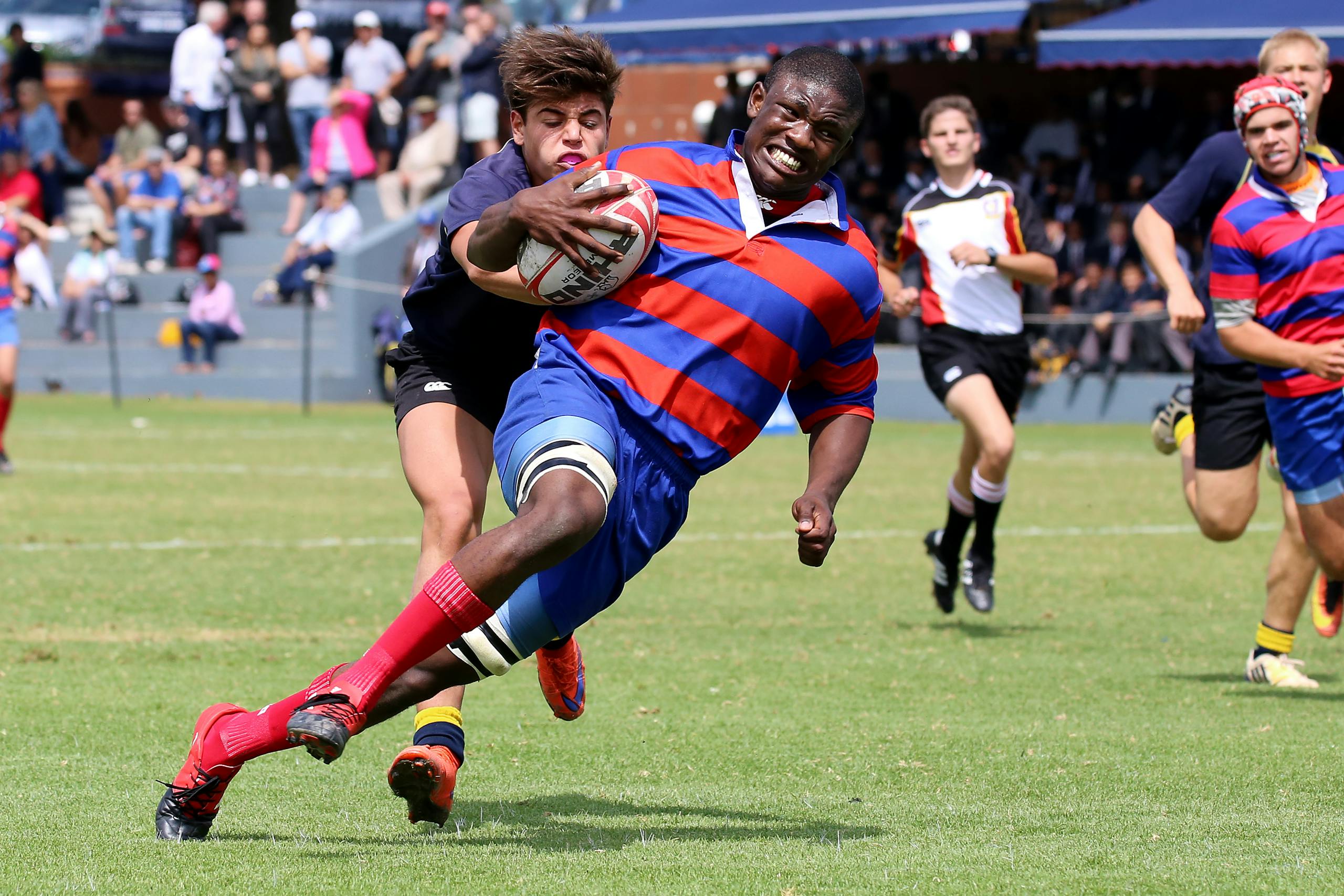Dynamic rugby match showing players in motion, showcasing teamwork and athleticism.
